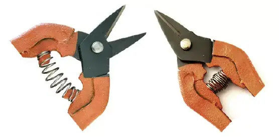 nazwisko