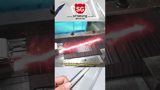 260109 1 SINSENG WIDEO