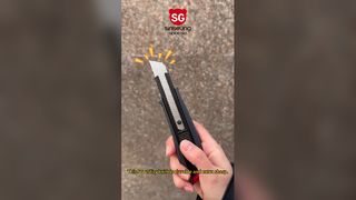 260113-4 SINSENG WIDEO