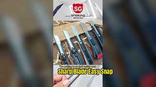 260114-1 SINSENG WIDEO